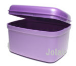 Wisdom Denture Box